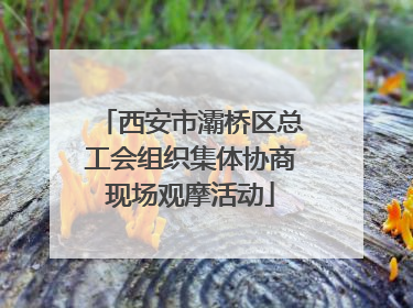 西安市灞桥区总工会组织集体协商现场观摩活动