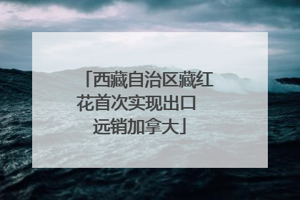 西藏自治区藏红花首次实现出口 远销加拿大