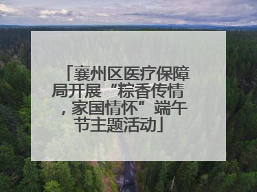 襄州区医疗保障局开展“粽香传情，家国情怀”端午节主题活动