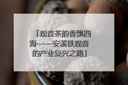 观音茶韵香飘四海——安溪铁观音的产业复兴之路