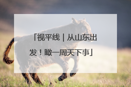 视平线｜从山东出发！瞰一周天下事