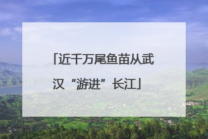 近千万尾鱼苗从武汉“游进”长江