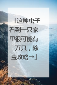 这种虫子看到一只家里很可能有一万只，除虫攻略→