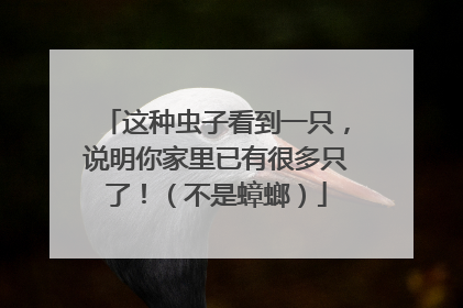 这种虫子看到一只，说明你家里已有很多只了！（不是蟑螂）