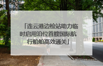 连云港边检站助力临时启用泊位首艘国际航行船舶高效通关