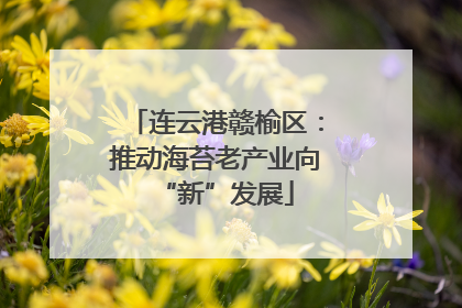 连云港赣榆区：推动海苔老产业向“新”发展