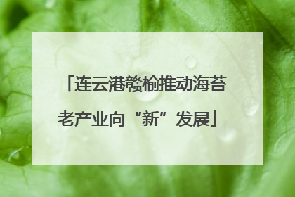 连云港赣榆推动海苔老产业向“新”发展