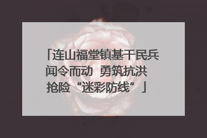 连山福堂镇基干民兵闻令而动  勇筑抗洪抢险“迷彩防线”