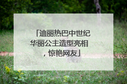 迪丽热巴中世纪华丽公主造型亮相，惊艳网友
