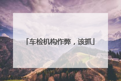车检机构作弊，该抓