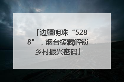 边疆明珠“5288”，烟台援藏解锁乡村振兴密码