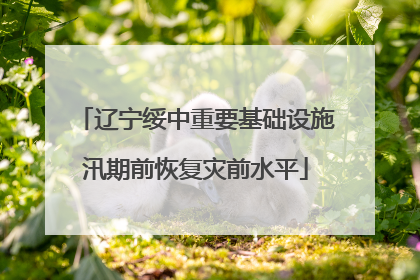 辽宁绥中重要基础设施汛期前恢复灾前水平