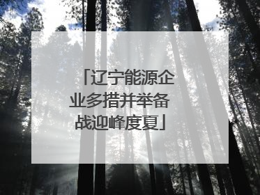辽宁能源企业多措并举备战迎峰度夏