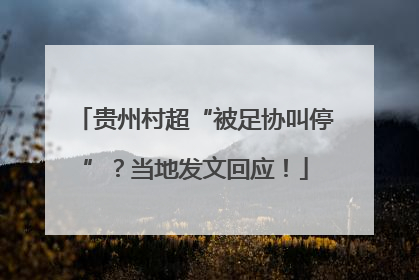 贵州村超“被足协叫停”？当地发文回应！
