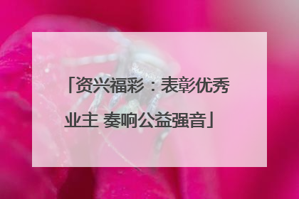 资兴福彩：表彰优秀业主 奏响公益强音
