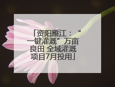 资阳雁江：“一键灌溉”万亩良田 全域灌溉项目7月投用