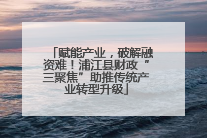赋能产业，破解融资难！浦江县财政“三聚焦”助推传统产业转型升级