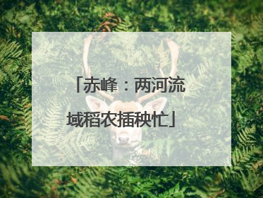 赤峰：两河流域稻农插秧忙