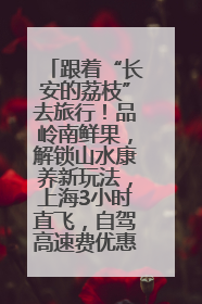 跟着“长安的荔枝”去旅行！品岭南鲜果，解锁山水康养新玩法，上海3小时直飞，自驾高速费优惠