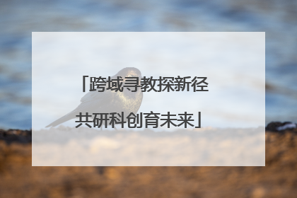 跨域寻教探新径 共研科创育未来