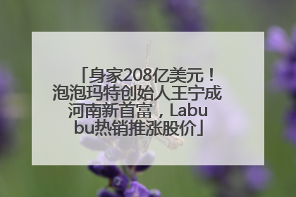 身家208亿美元！泡泡玛特创始人王宁成河南新首富，Labubu热销推涨股价