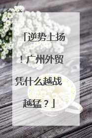逆势上扬！广州外贸凭什么越战越猛？