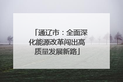 通辽市：全面深化能源改革闯出高质量发展新路