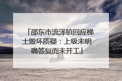 邵东市流泽镇回应梯土毁坏质疑：上级未明确答复而未开工