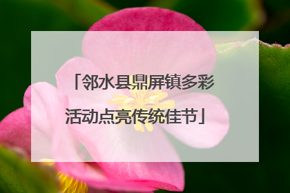 邻水县鼎屏镇多彩活动点亮传统佳节