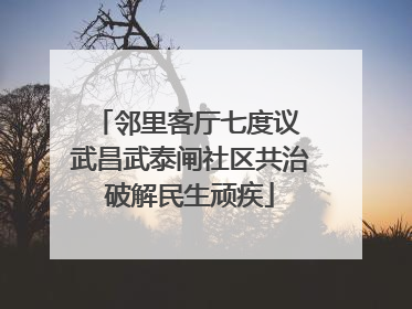 邻里客厅七度议 武昌武泰闸社区共治破解民生顽疾