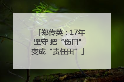 郑传英：17年坚守 把“伤口”变成“责任田”