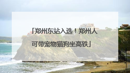 郑州东站入选！郑州人可带宠物猫狗坐高铁