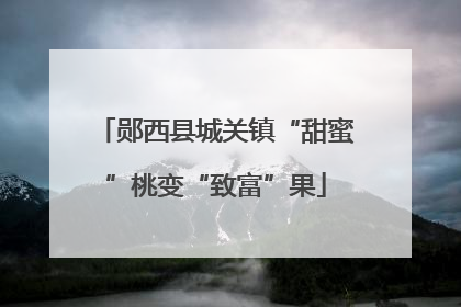 郧西县城关镇“甜蜜”桃变“致富”果