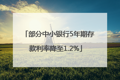 部分中小银行5年期存款利率降至1.2%