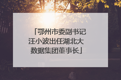 鄂州市委副书记汪小波出任湖北大数据集团董事长