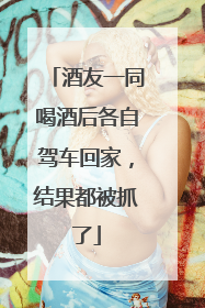 酒友一同喝酒后各自驾车回家，结果都被抓了