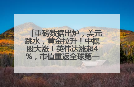 重磅数据出炉，美元跳水，黄金拉升！中概股大涨！英伟达涨超4%，市值重返全球第一！黄仁勋计划出售至多600万股股票