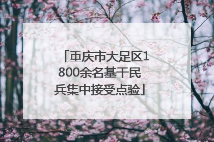 重庆市大足区1800余名基干民兵集中接受点验