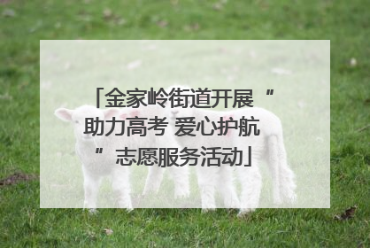 金家岭街道开展“助力高考 爱心护航”志愿服务活动