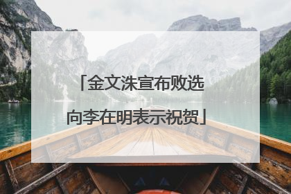 金文洙宣布败选 向李在明表示祝贺