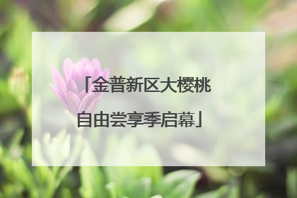 金普新区大樱桃自由尝享季启幕
