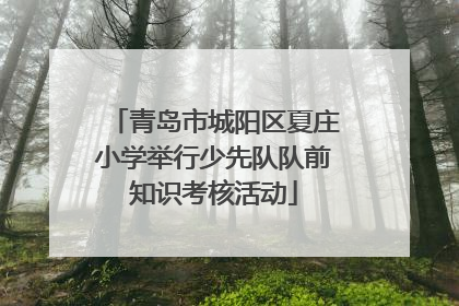青岛市城阳区夏庄小学举行少先队队前知识考核活动