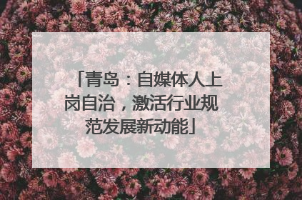 青岛：自媒体人上岗自治，激活行业规范发展新动能