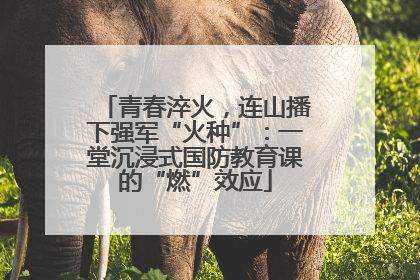 青春淬火，连山播下强军“火种”：一堂沉浸式国防教育课的“燃”效应