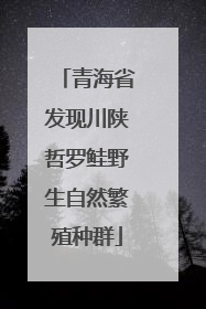 青海省发现川陕哲罗鲑野生自然繁殖种群
