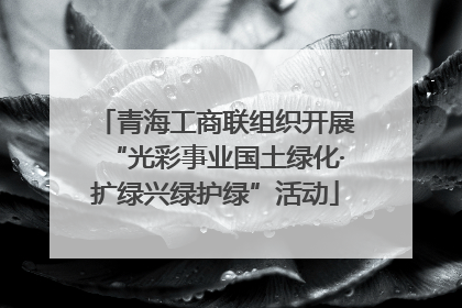 青海工商联组织开展“光彩事业国土绿化·扩绿兴绿护绿”活动