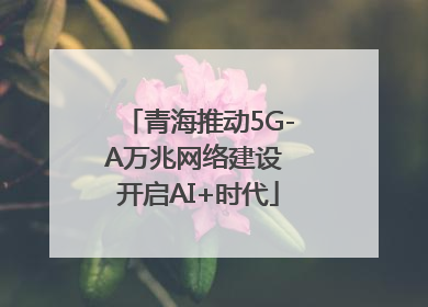 青海推动5G-A万兆网络建设 开启AI+时代