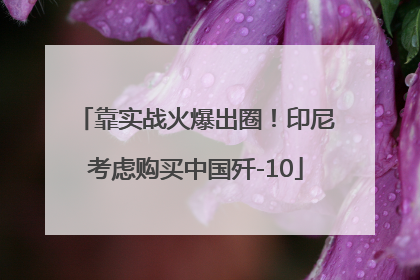 靠实战火爆出圈！印尼考虑购买中国歼-10