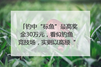 钓中“标鱼”最高奖金30万元，看似钓鱼竞技场，实则以高额“回报”作“饵”……｜今晚九点半
