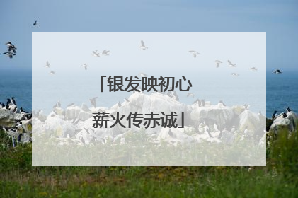 银发映初心 薪火传赤诚